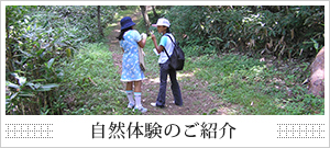 自然体験のご案内