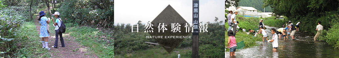 自然体験情報