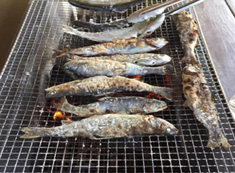 魚のつかみ取り