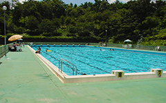 津黒高原温泉プール